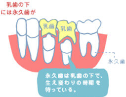 自由ヶ丘デンタルスタジオの小児歯科